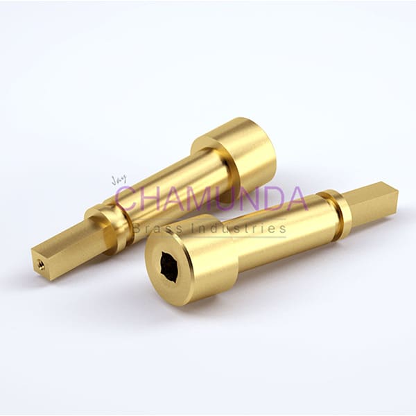 Brass Sealing Screw 24